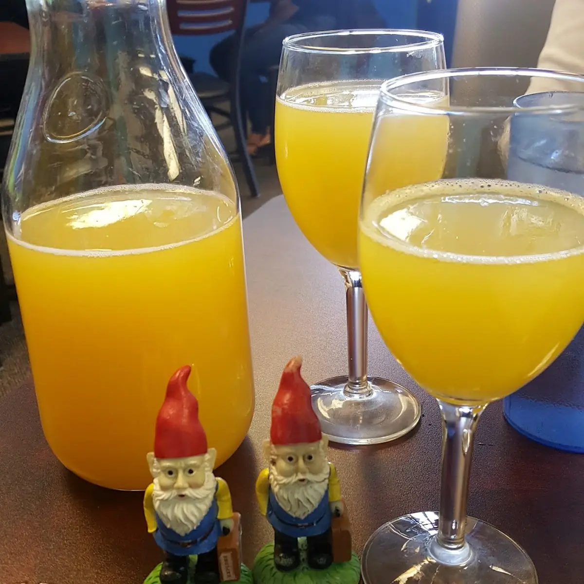 Mimosa Pitcher