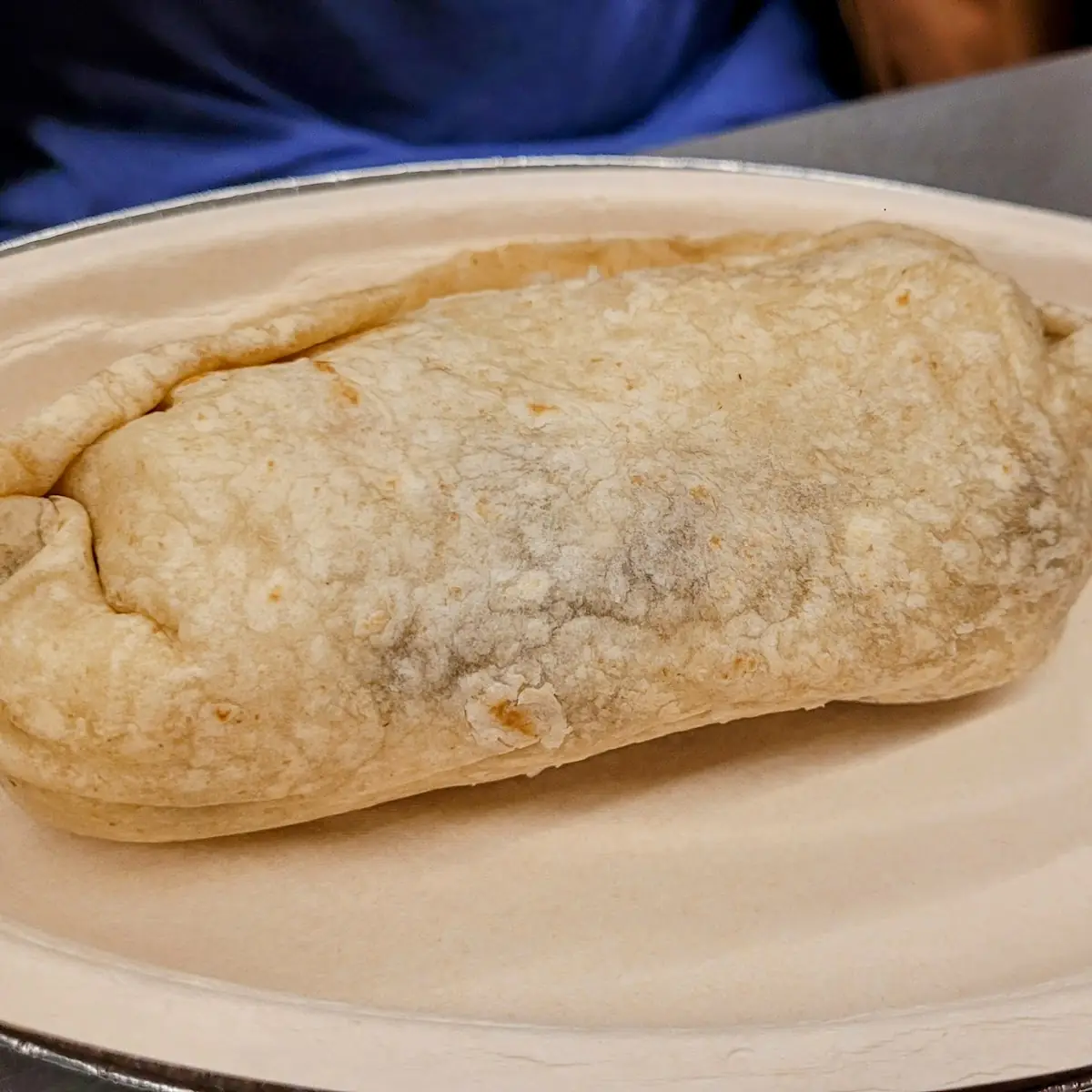 Rice and Bean Burrito
