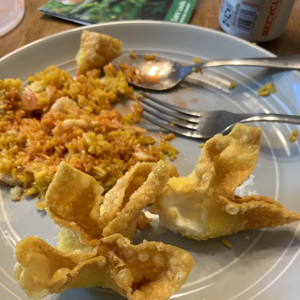 Fried Wonton