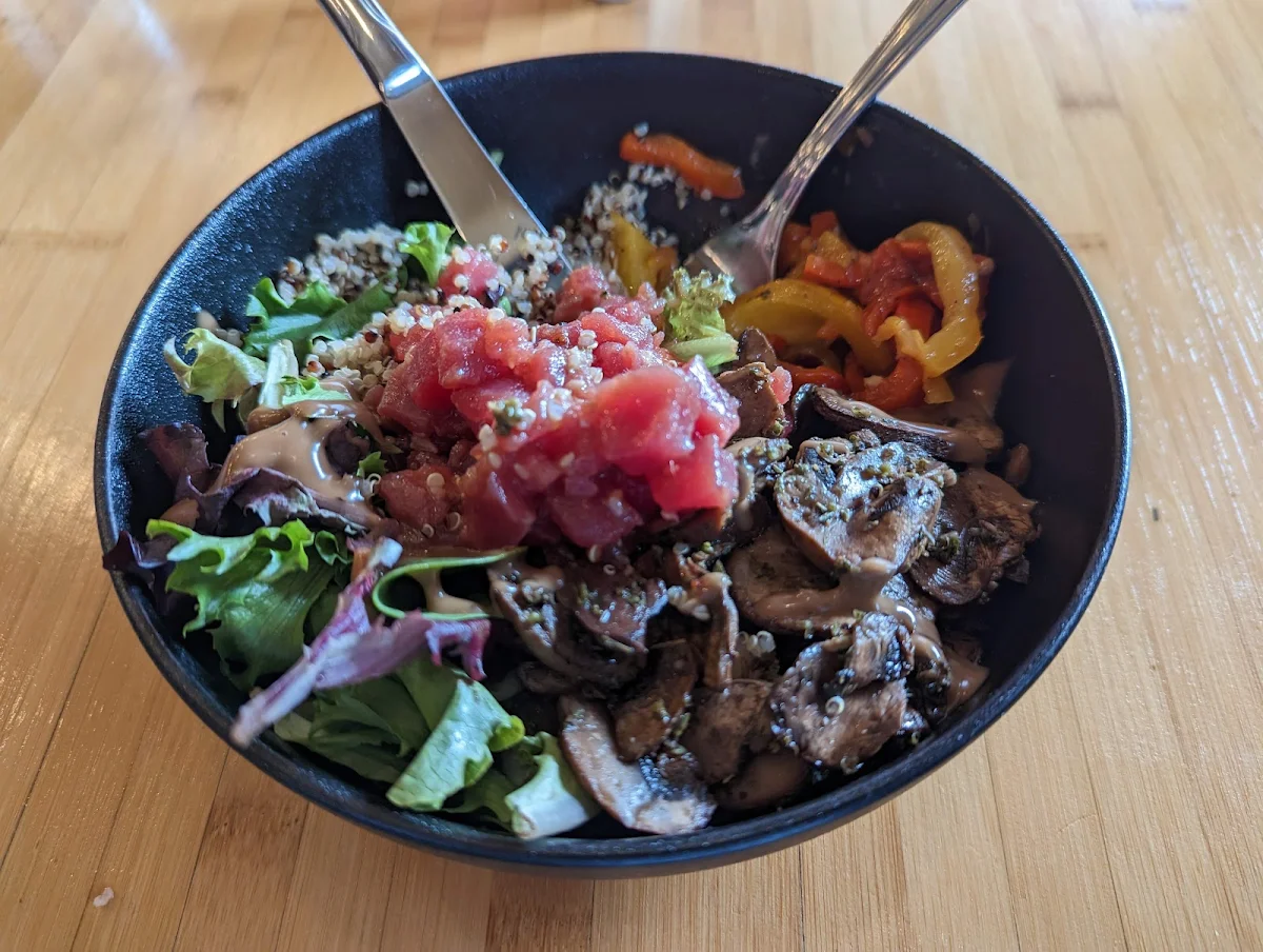 Buddha Bowl, Safari Bar and Grill 1749 Avenue Rd