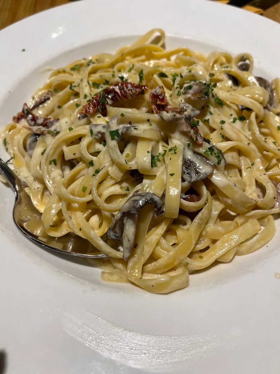 Chicken Fettuccini, Safari Bar and Grill 1749 Avenue Rd