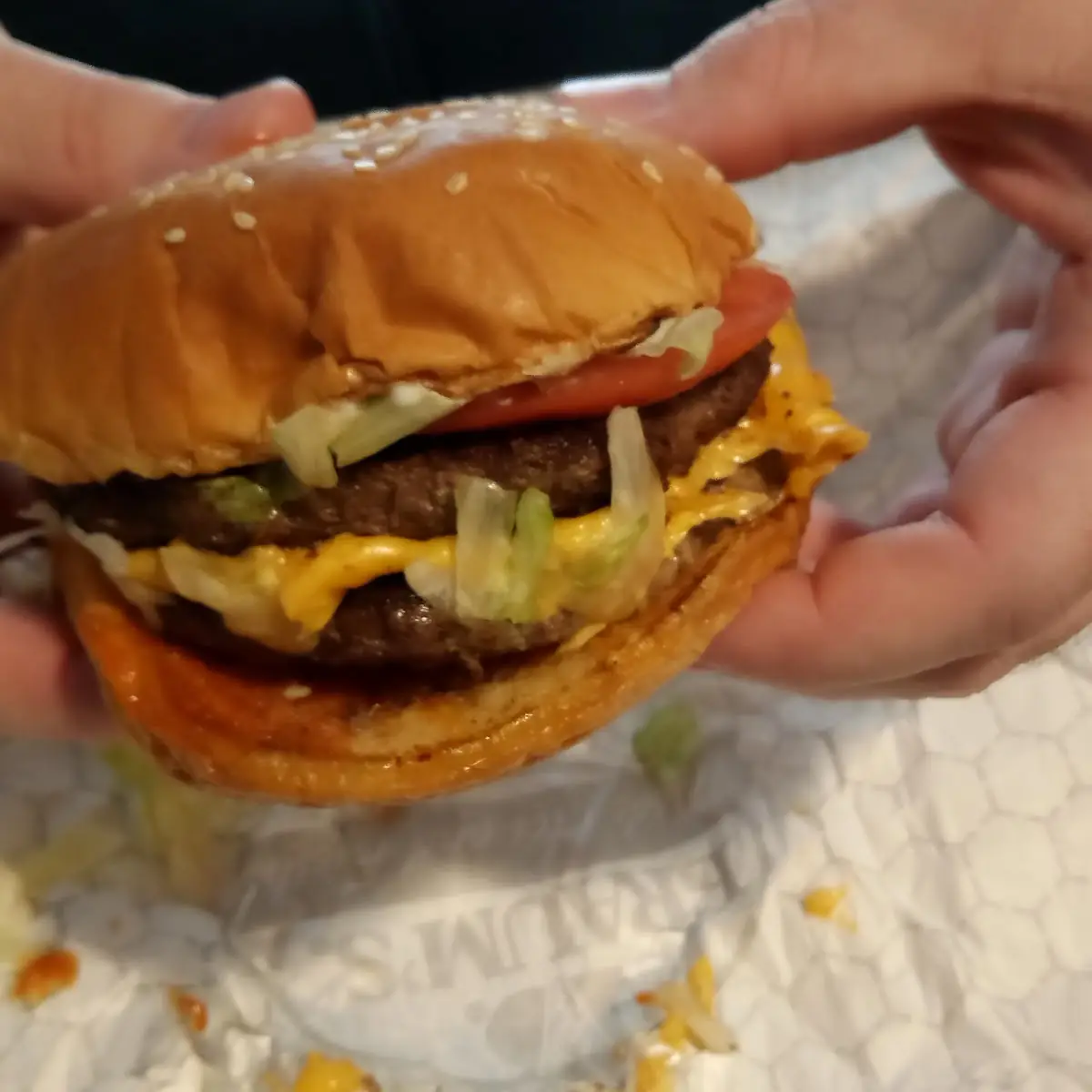 Double Cheeseburger