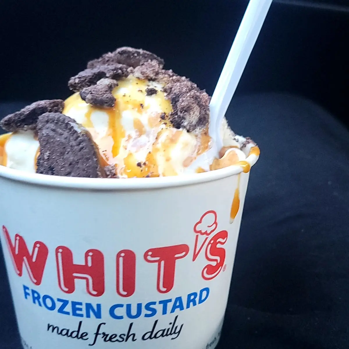 Frozen Custard