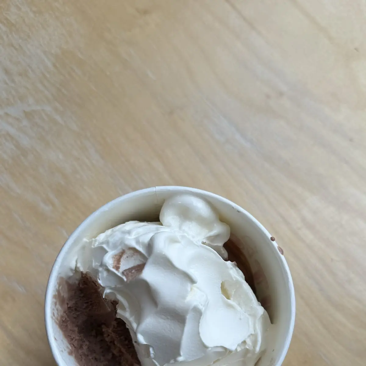 Vanilla and Chocolate Custard Cup