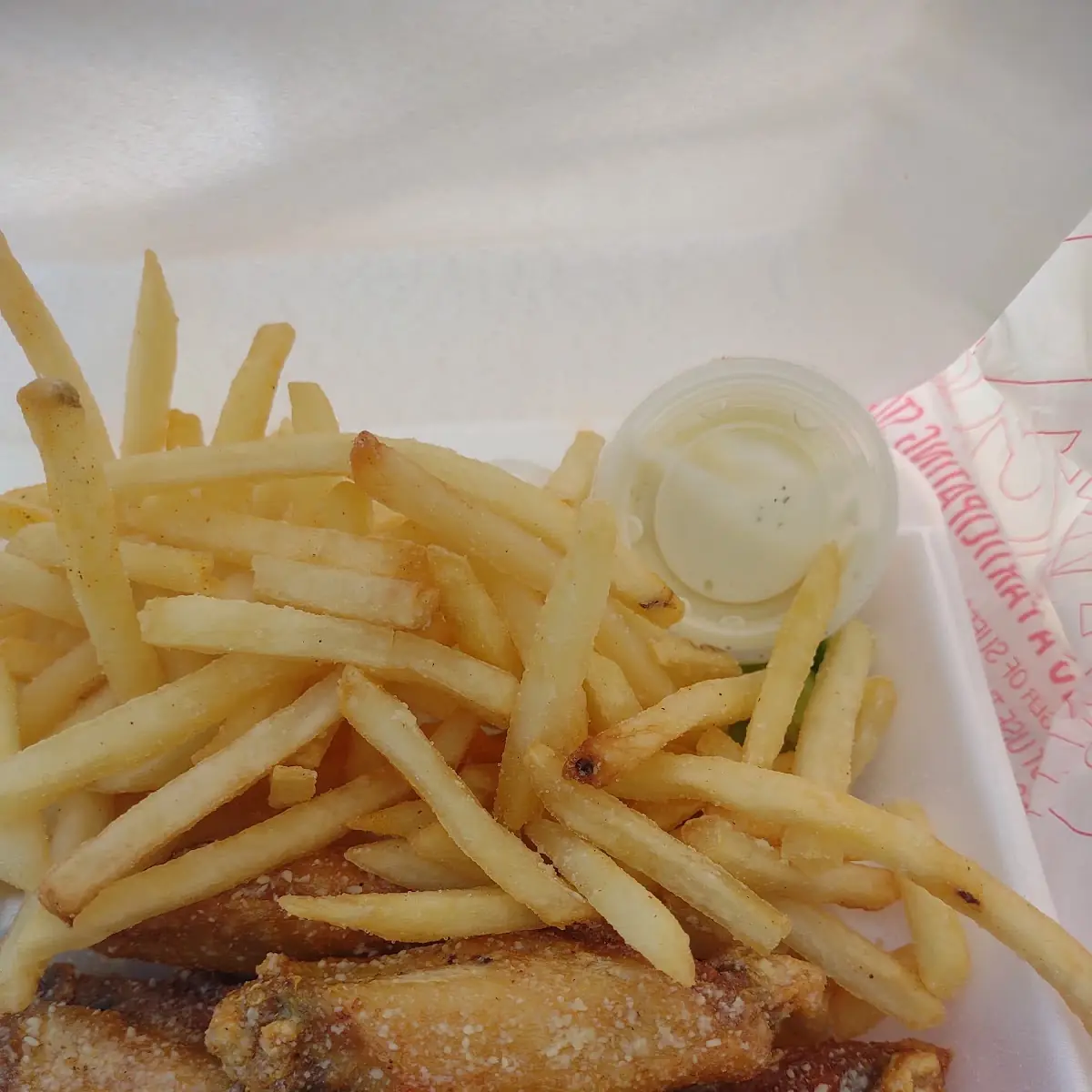 Garlic Parmesan Wing's and Fries