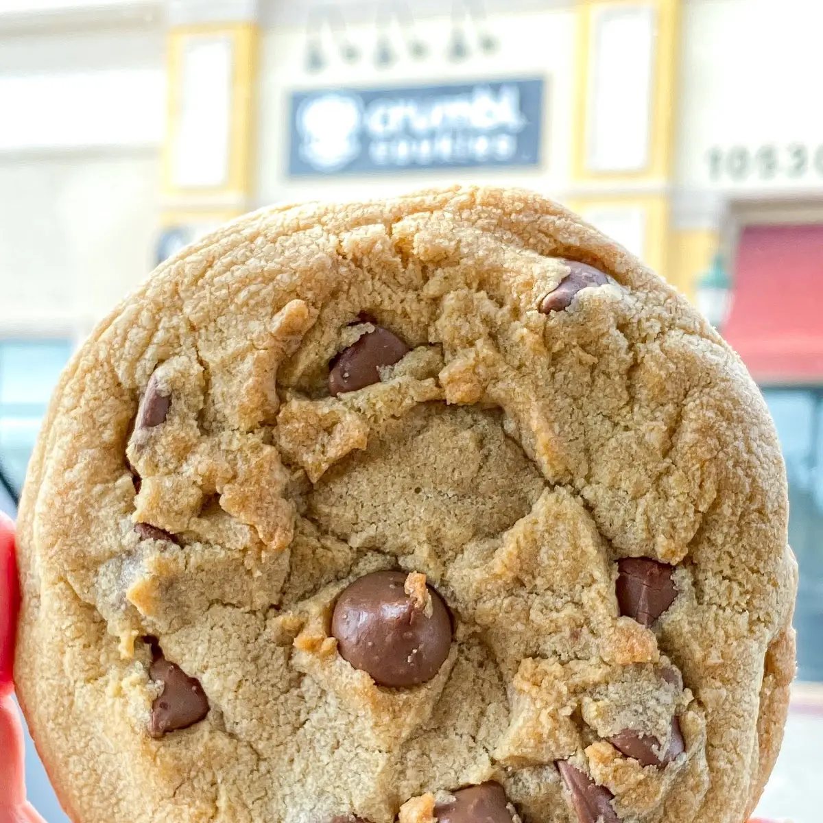 Milk Chocolate Chip Cookie