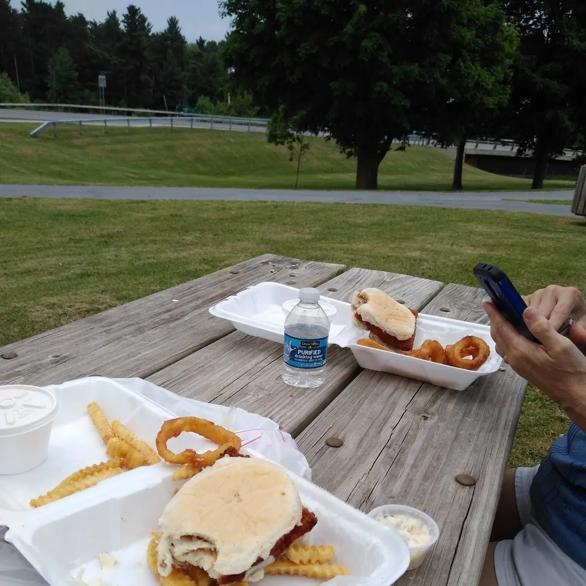 Fish Sandwich and Onion Rings