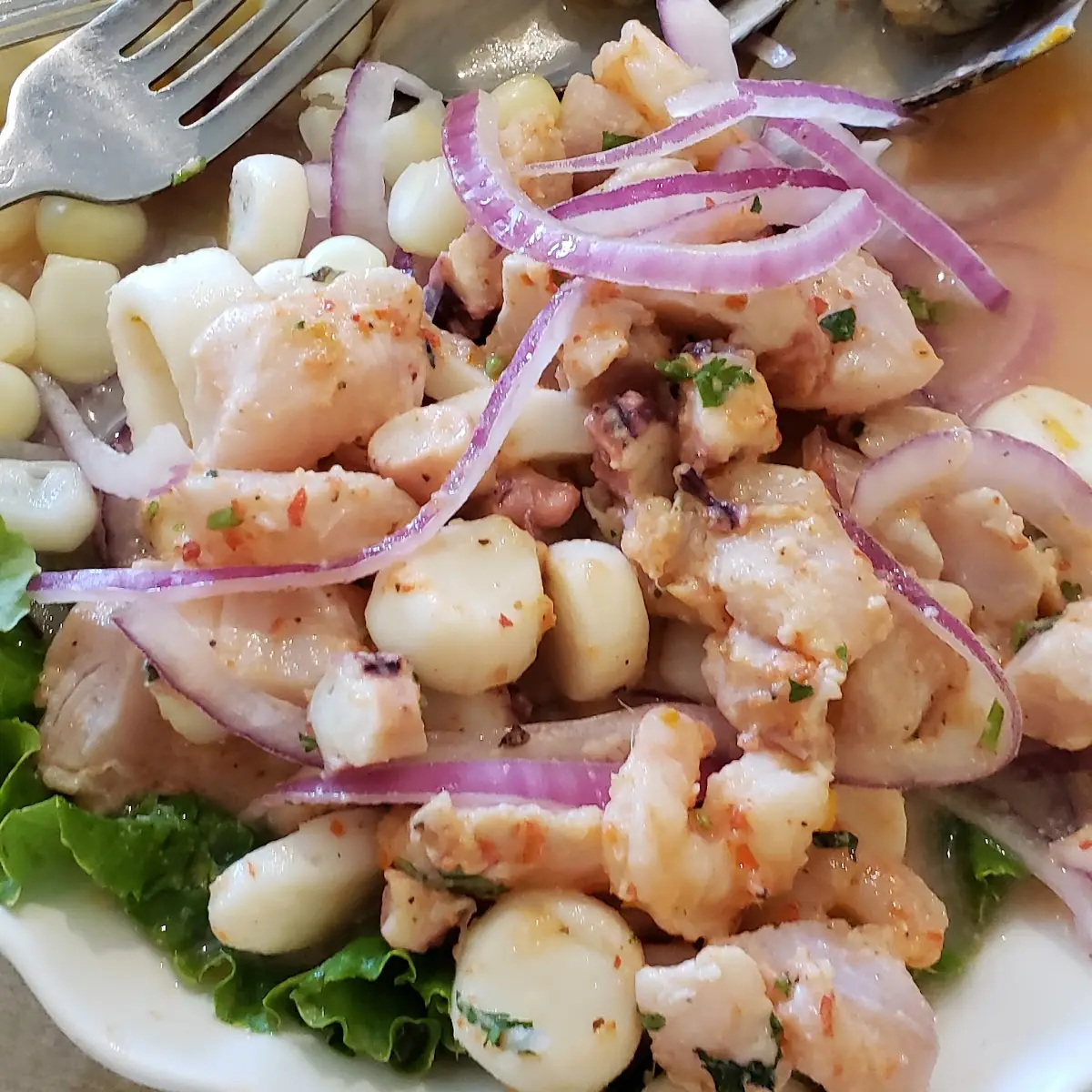 Special Ceviche