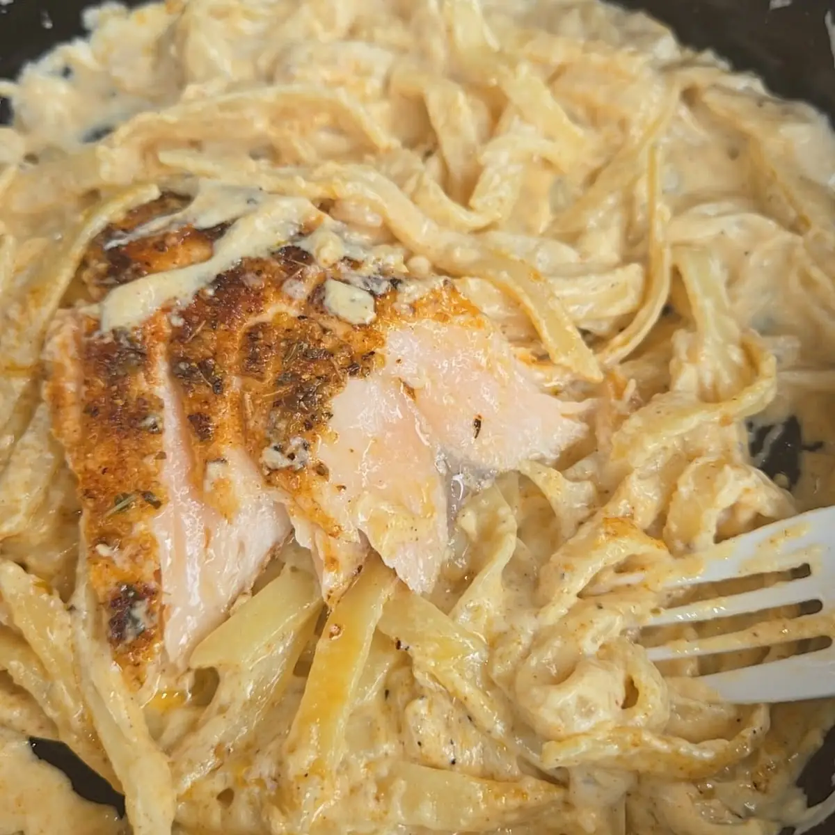 Chicken Alfredo