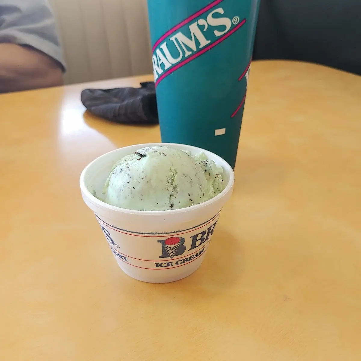Mint Chocolate Chip Ice Cream