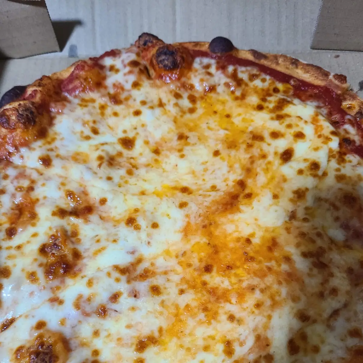 Extra Cheese Pizza