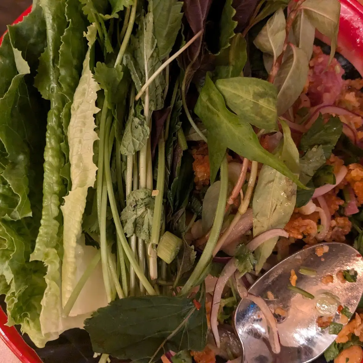Lao Style Larb