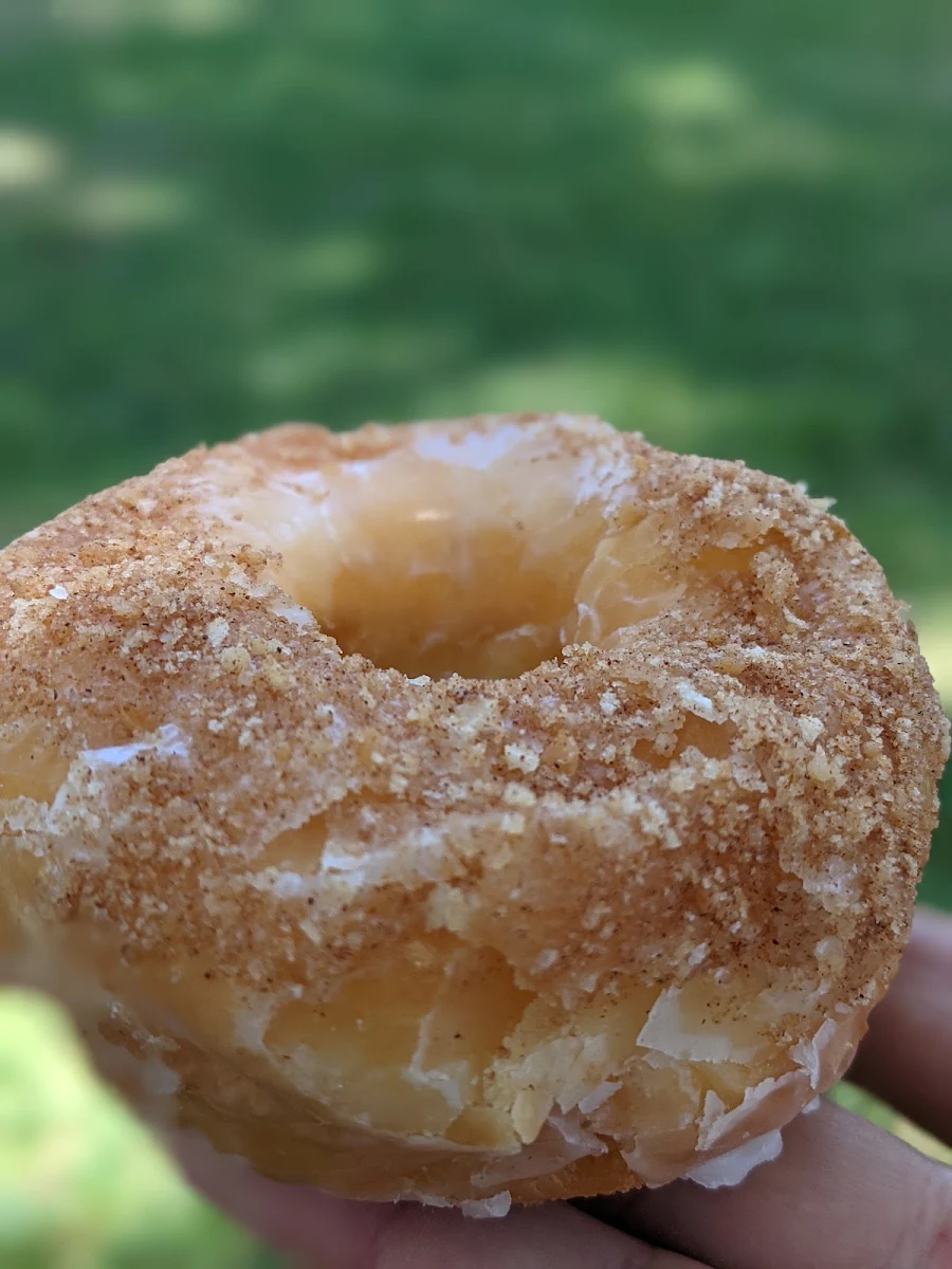 Doughnut