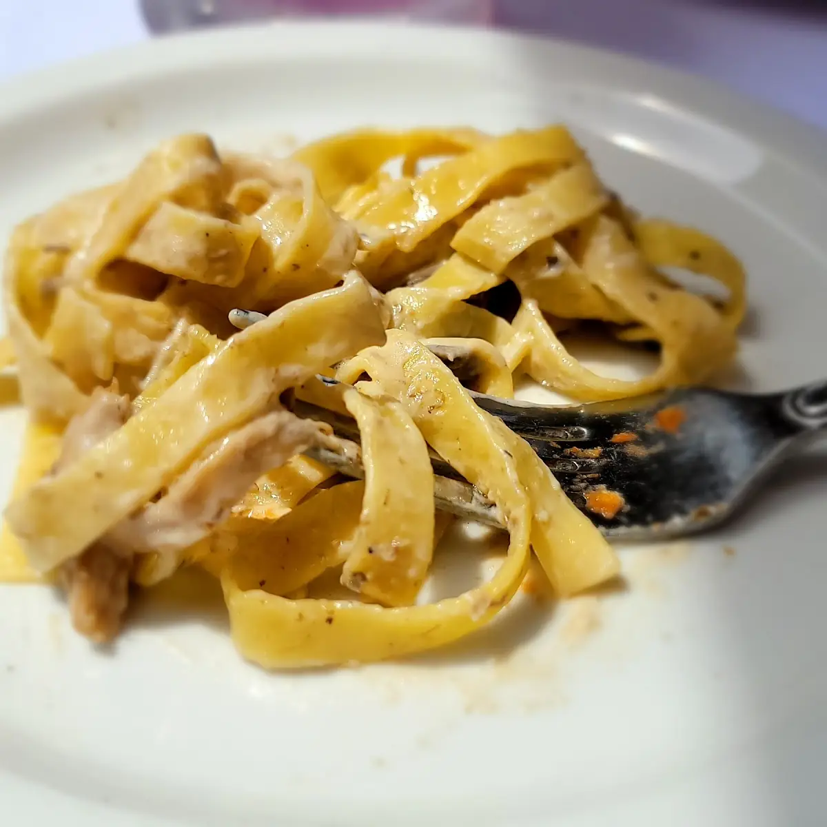 Tagliatelle Funghi