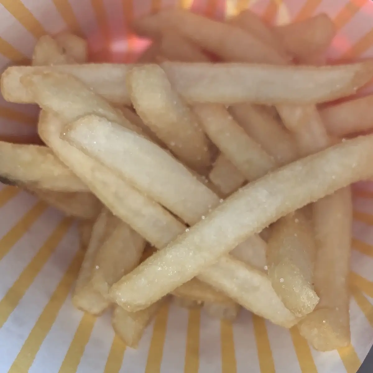 World Famous Fries