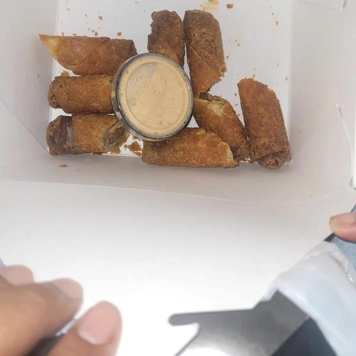 Philly Cheese Steak Rolls
