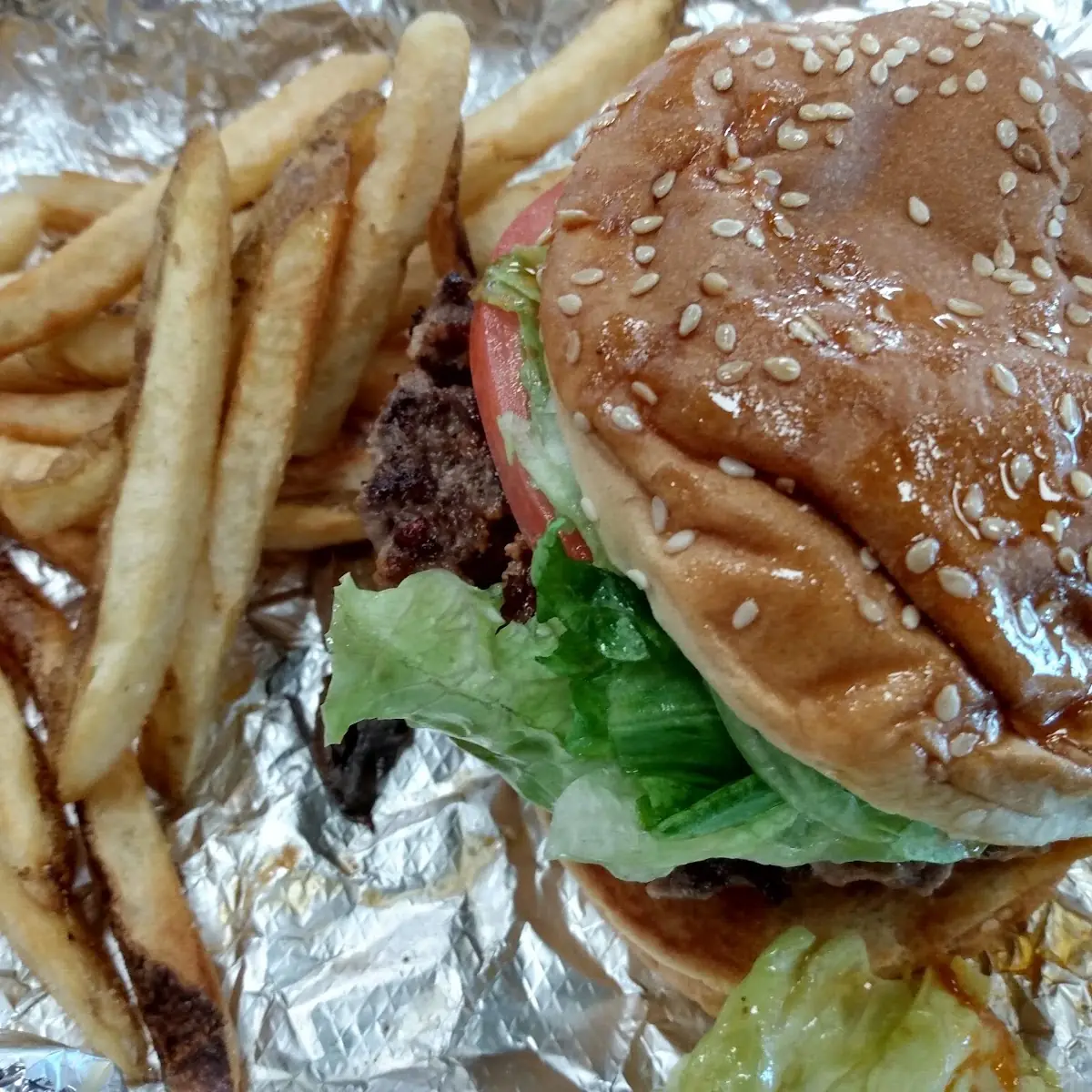 Hamburger & Fries with Cheese
