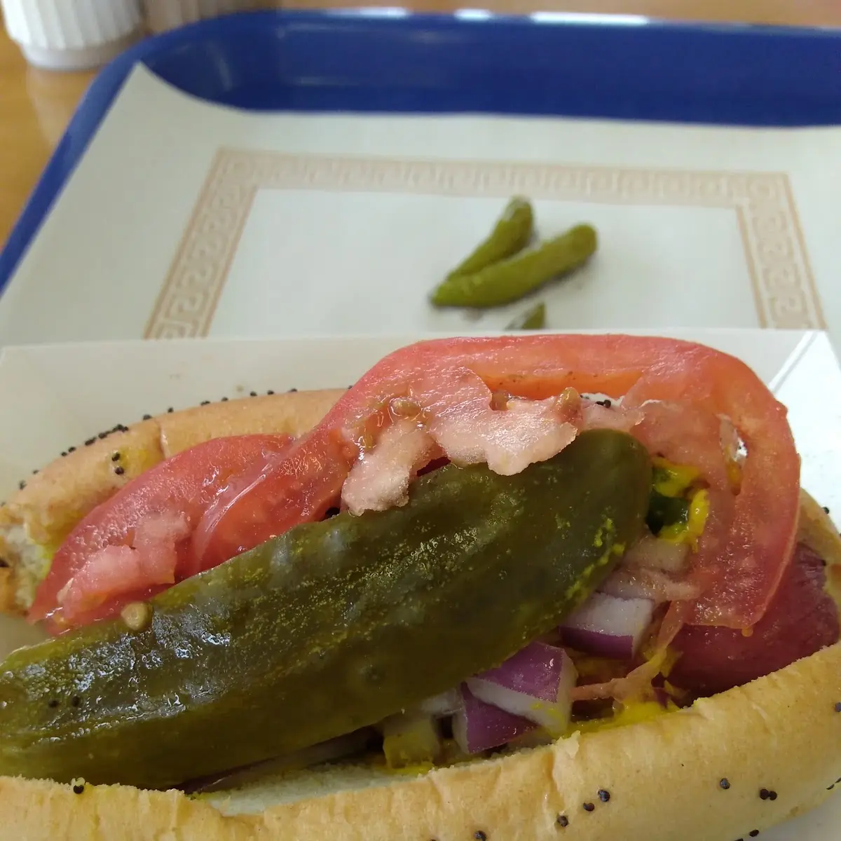Chicago Style Hot Dog
