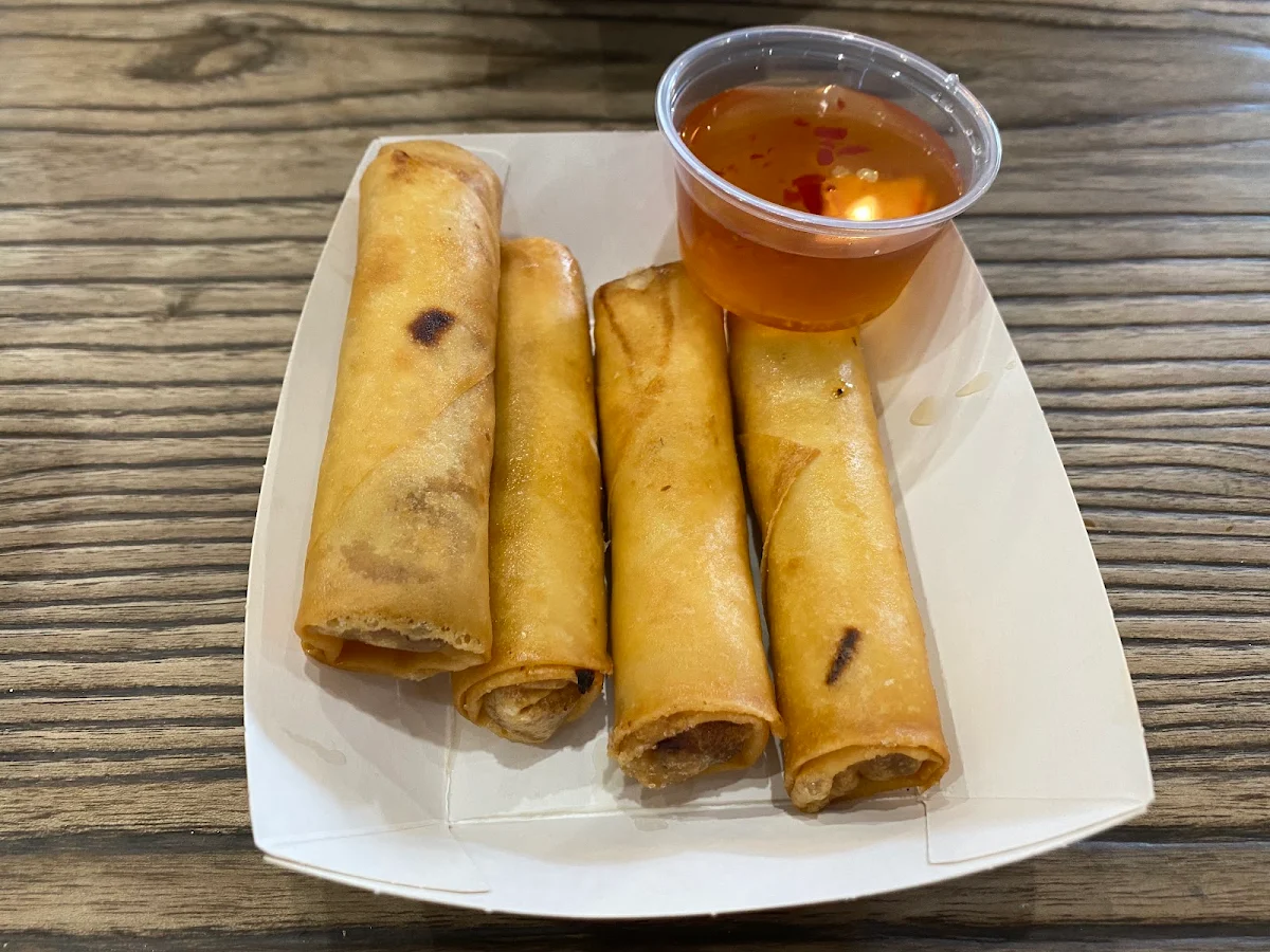 Vegetarian Homemade Spring Rolls x4