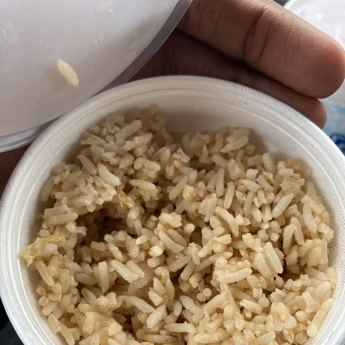 Brown Rice