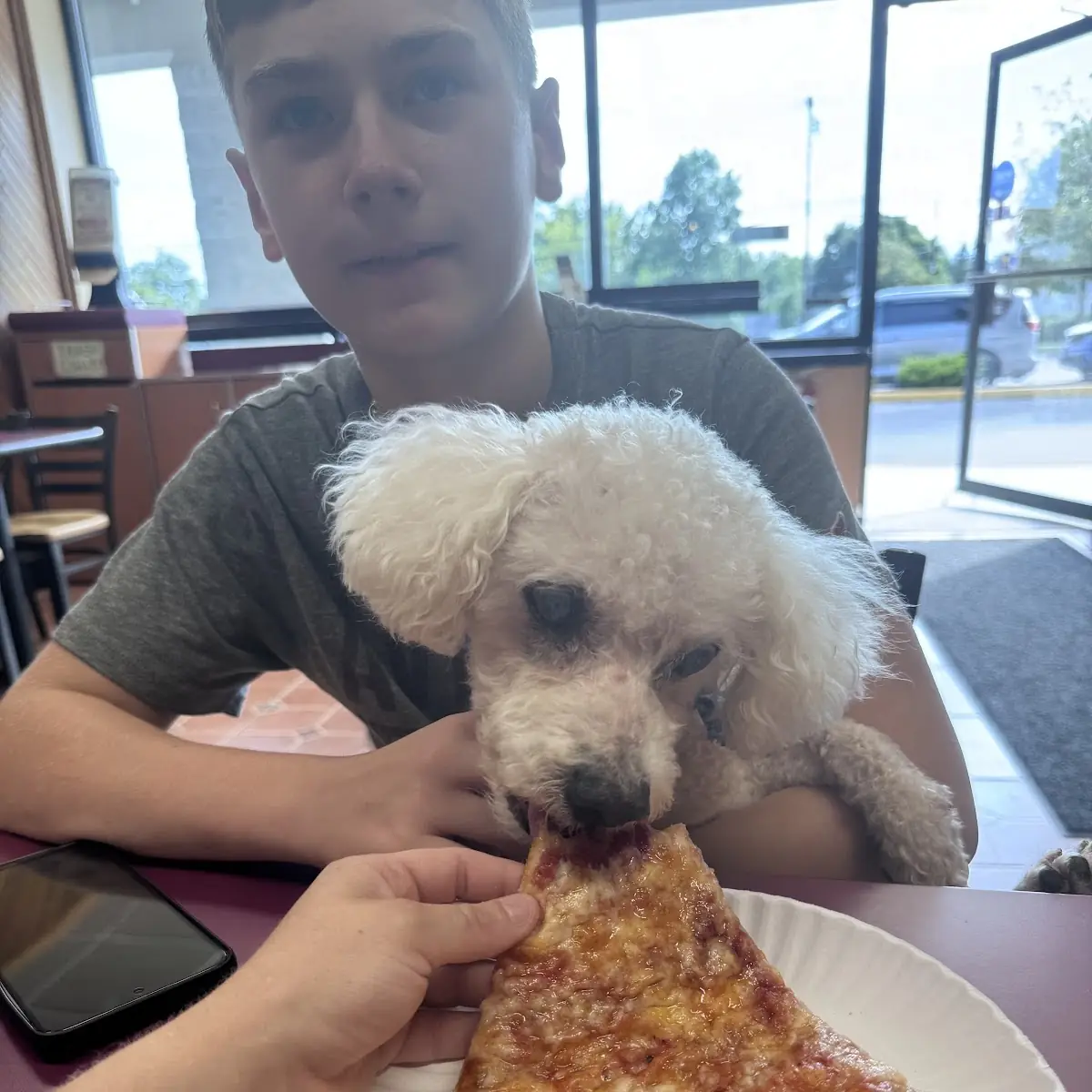 Slice of Pizza