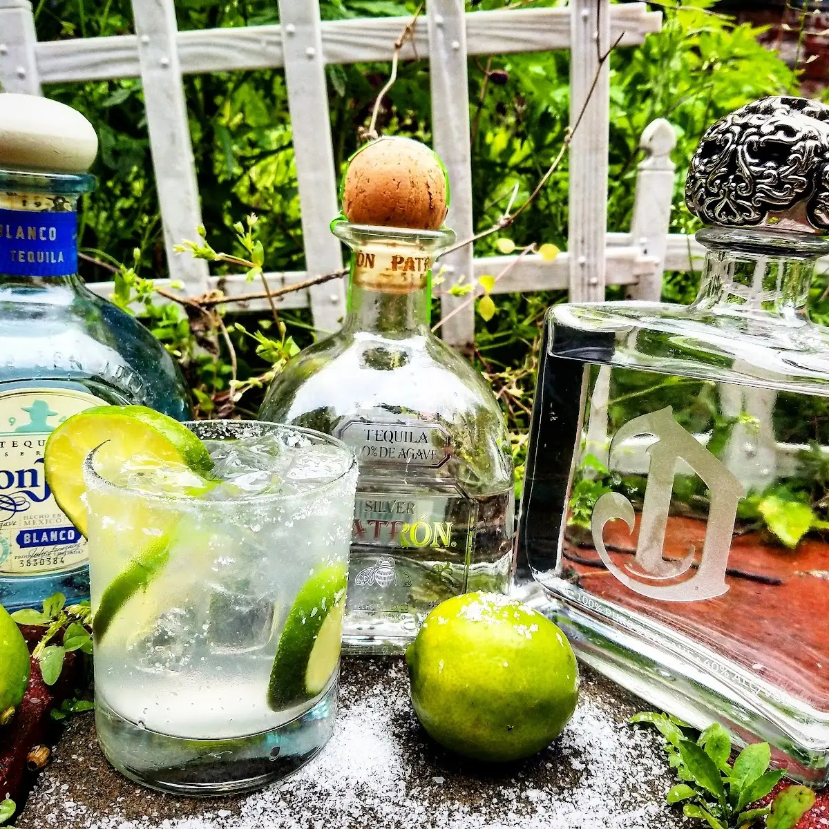 Frozen Margaritas