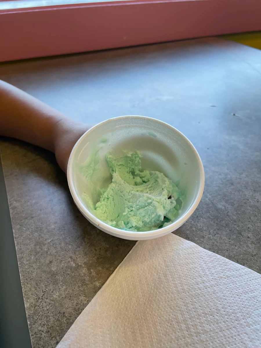 Green Tea Ice Cream