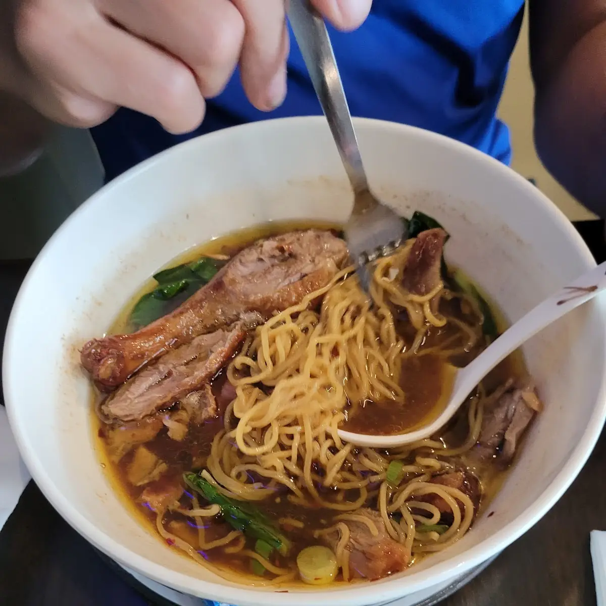 Duck Noodle Soup