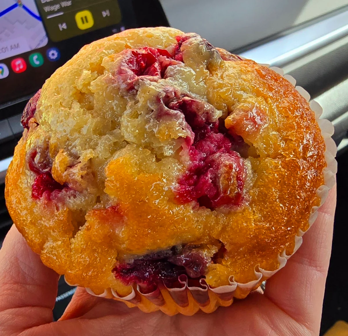 Cranberry Orange Muffin