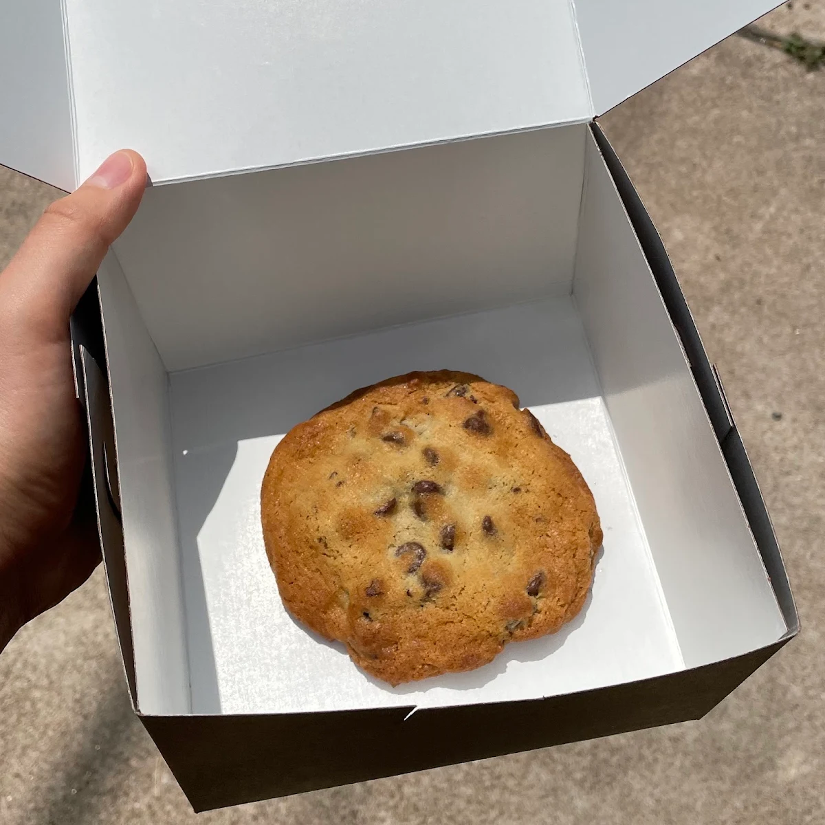 Single Jumbo Chocolate Chip Cookie