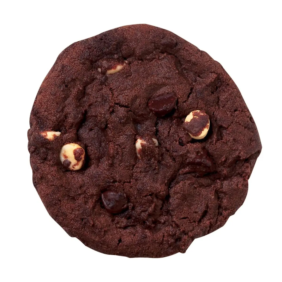 Double Chocolate Cookie