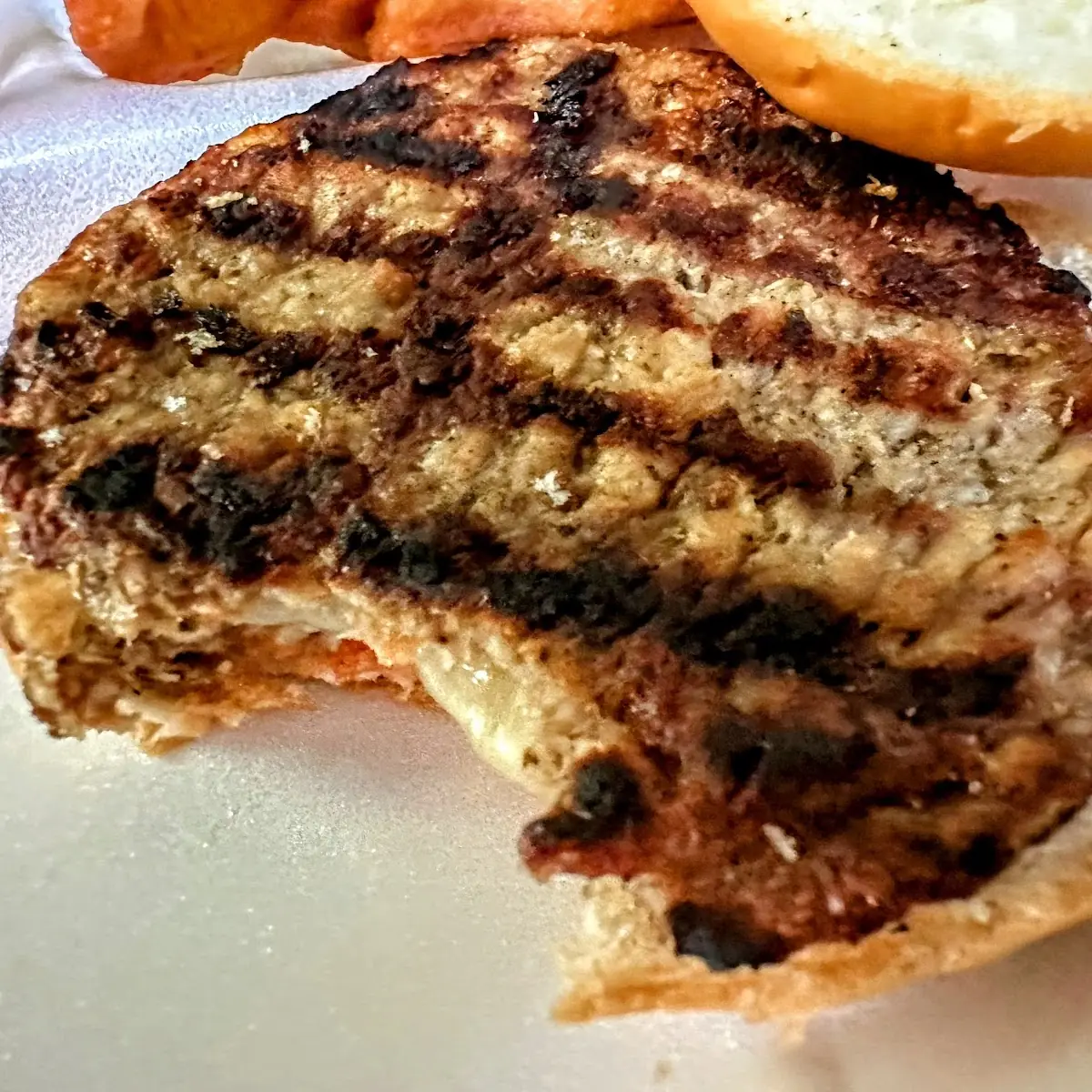 Pizza Burger Garbage