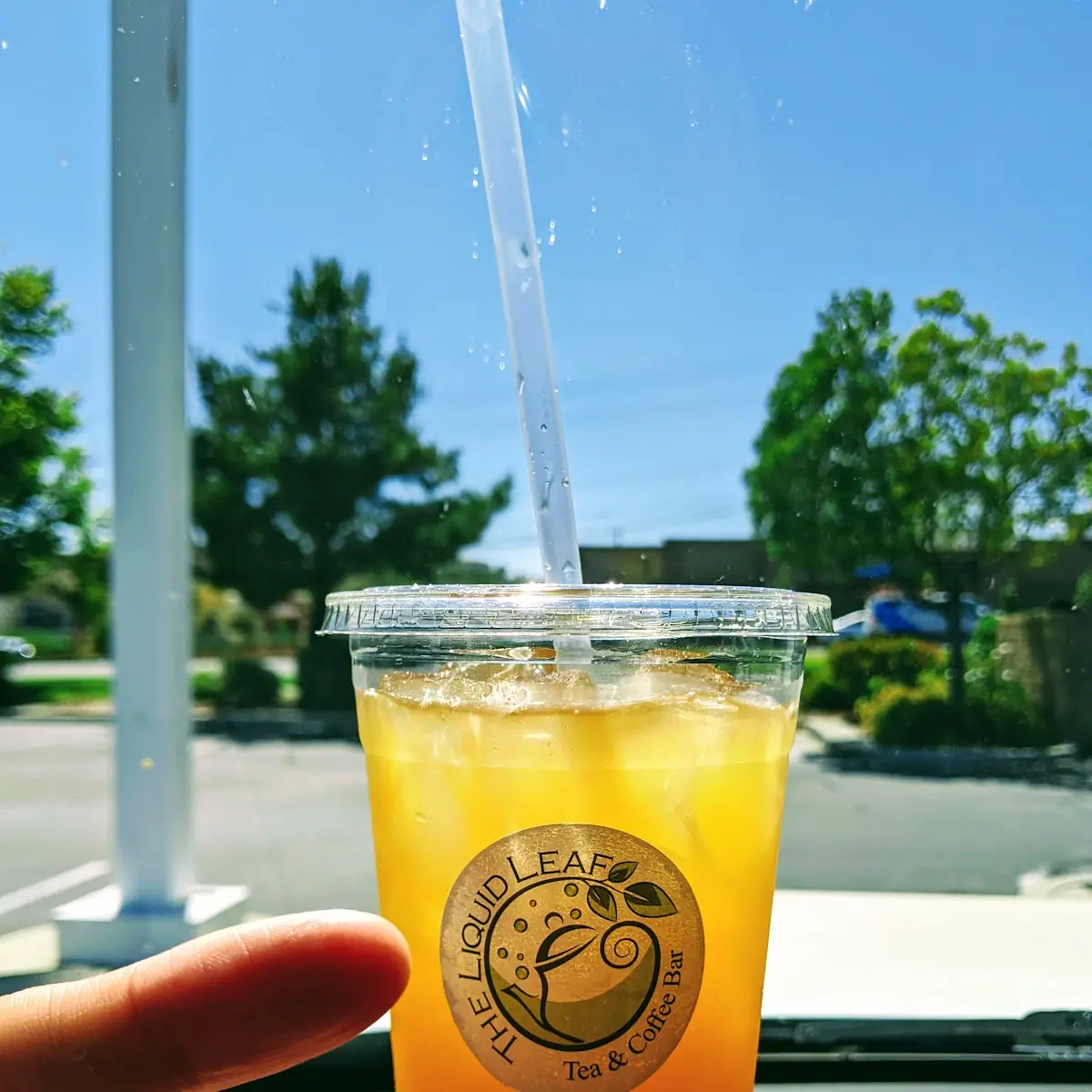 Jazmin Green Tea