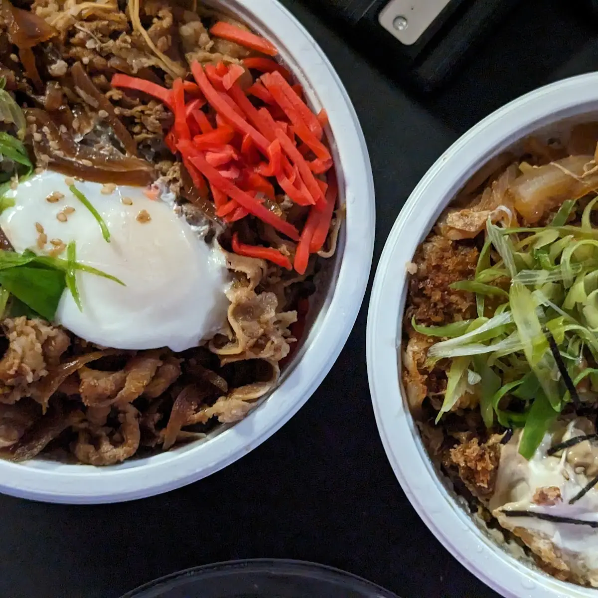 Beef Bowl and Katsu Don