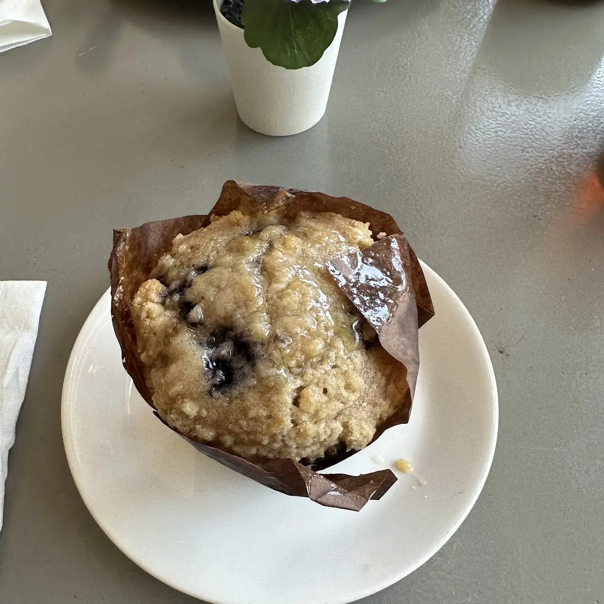 Blueberry Muffin