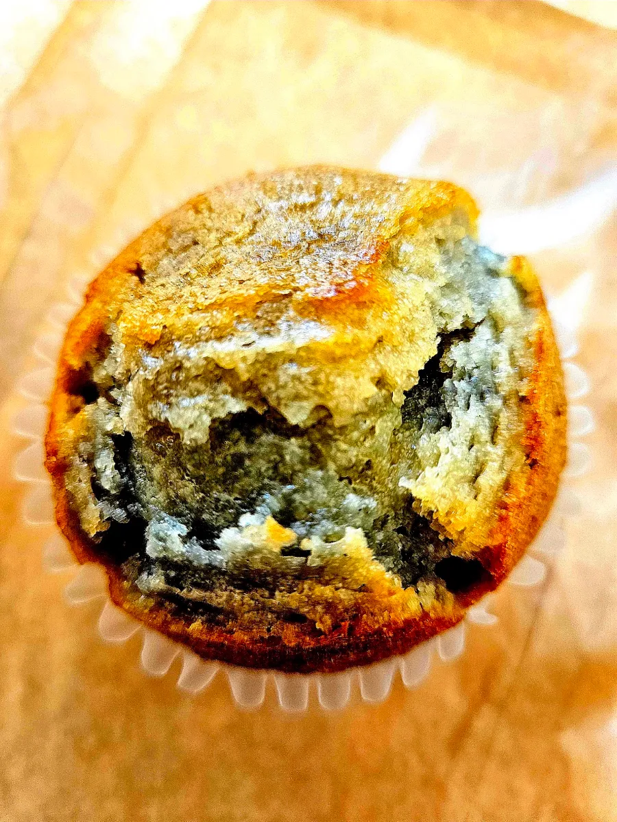 Blueberry Muffin
