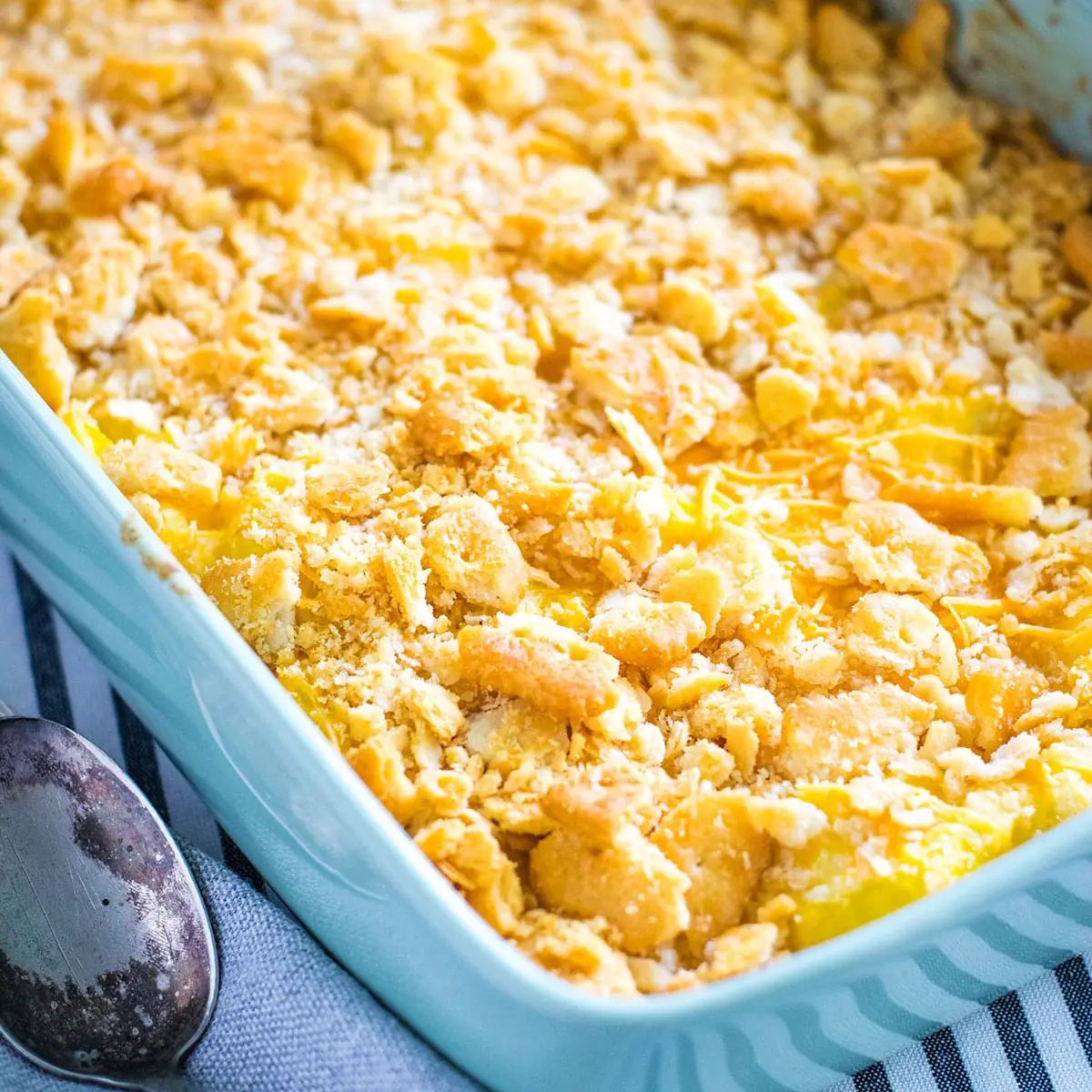 Rice & Gravy Squash Casserole