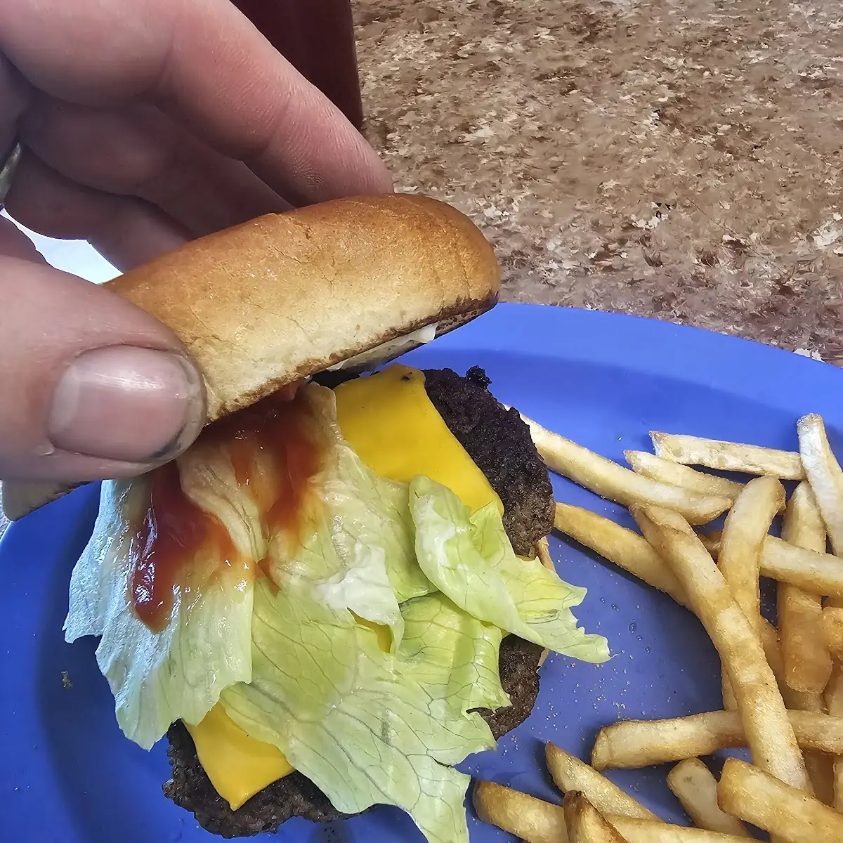 Cheeseburger and Fries