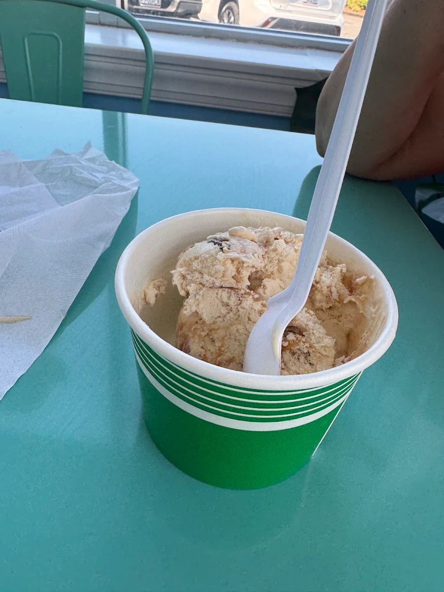 Salted Caramel Truffle Ice Cream