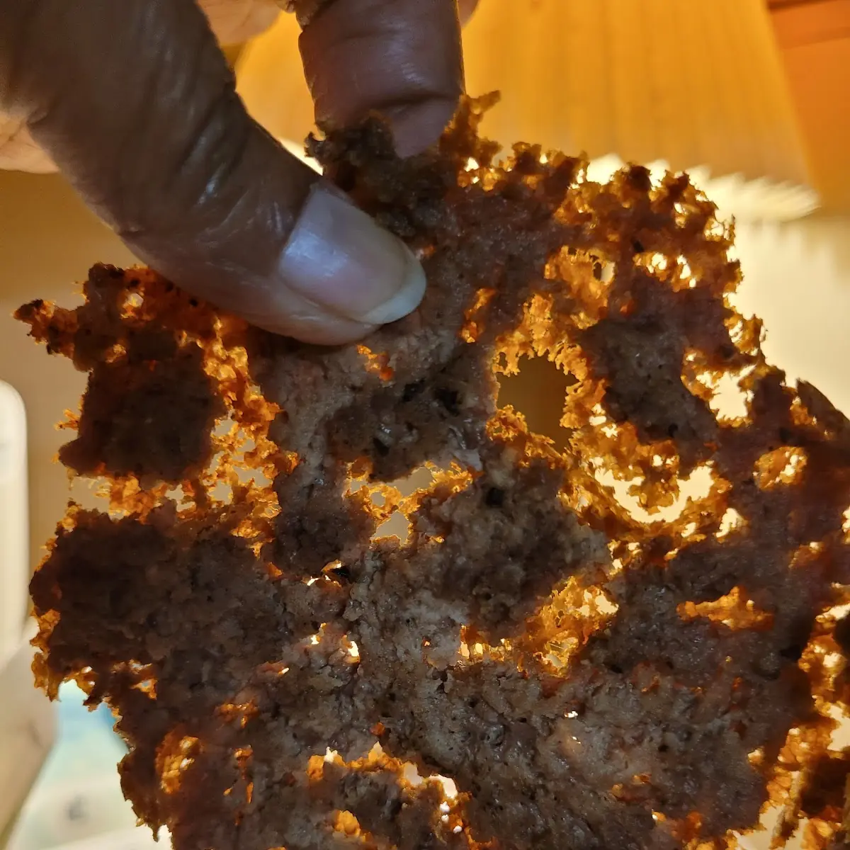 Patty Melt Burger