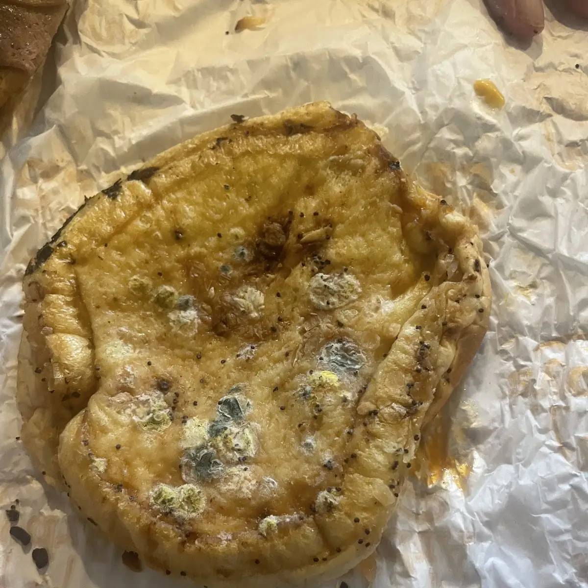Onion Soup