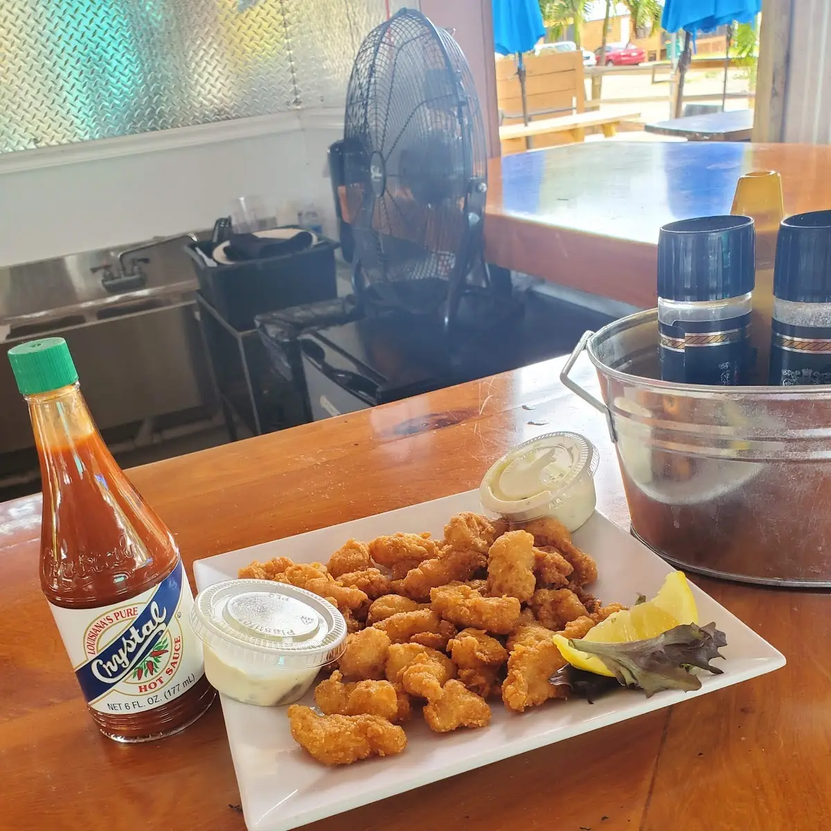 Gator Bites