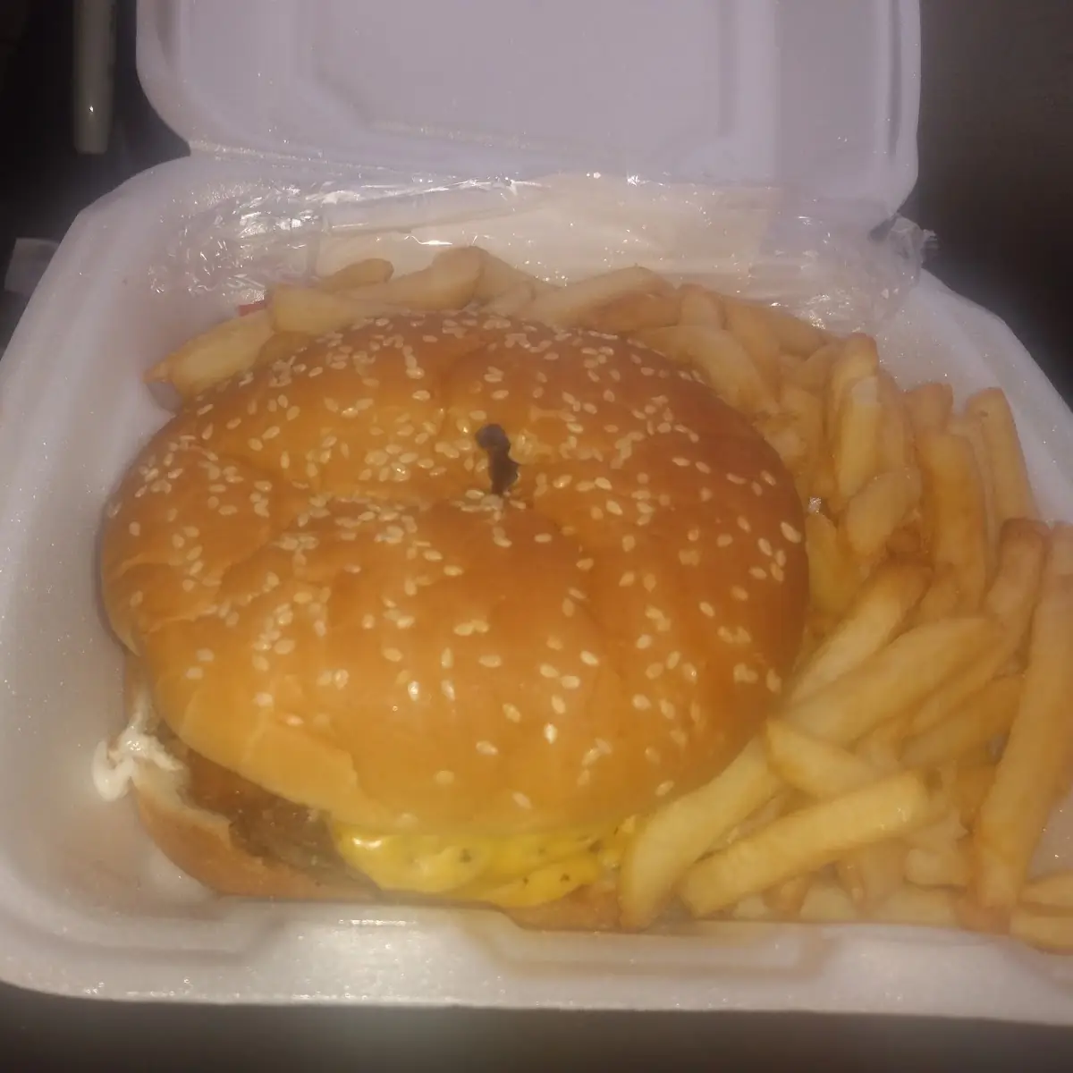 Double Bacon Cheeseburger with Fries
