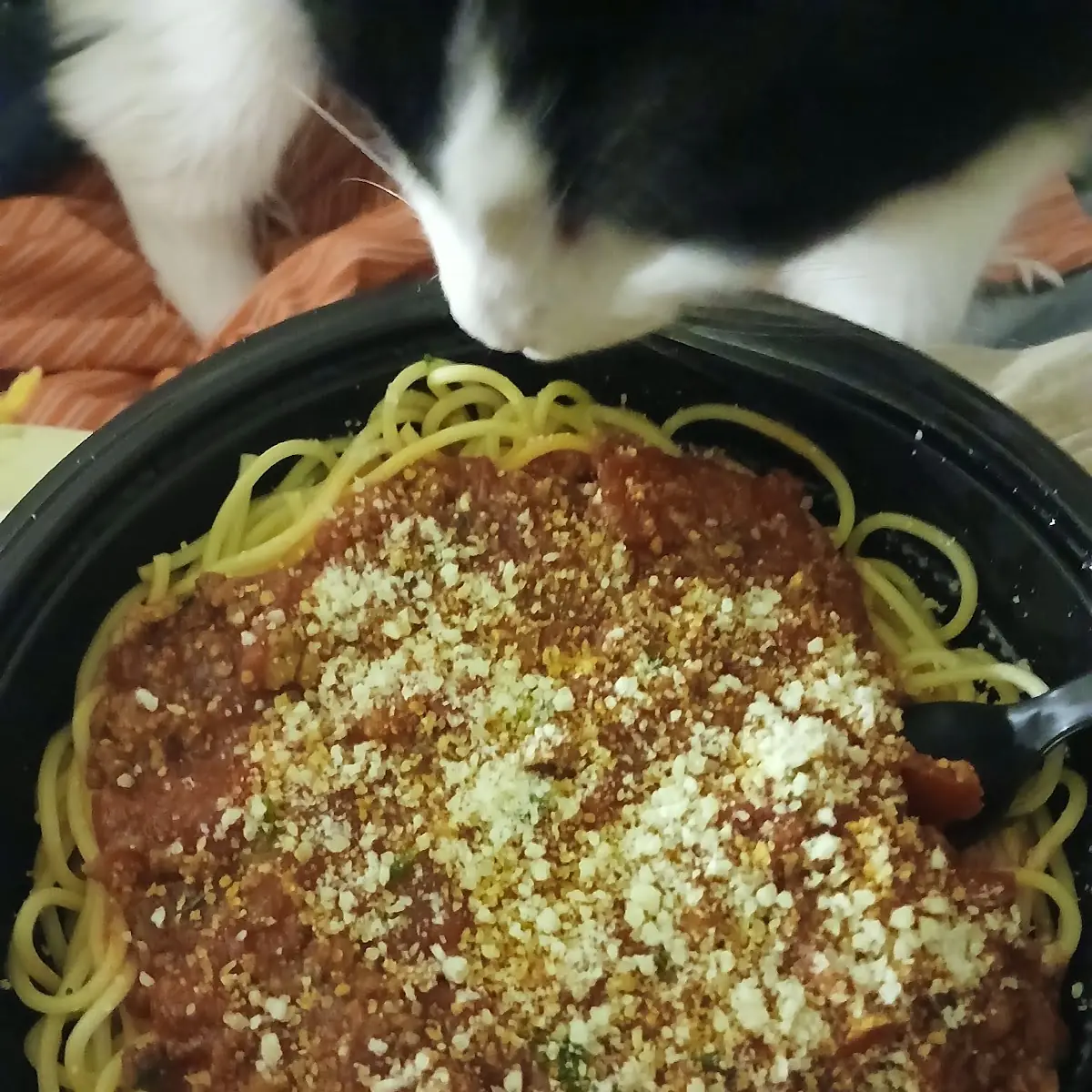 Chicken Parmesan