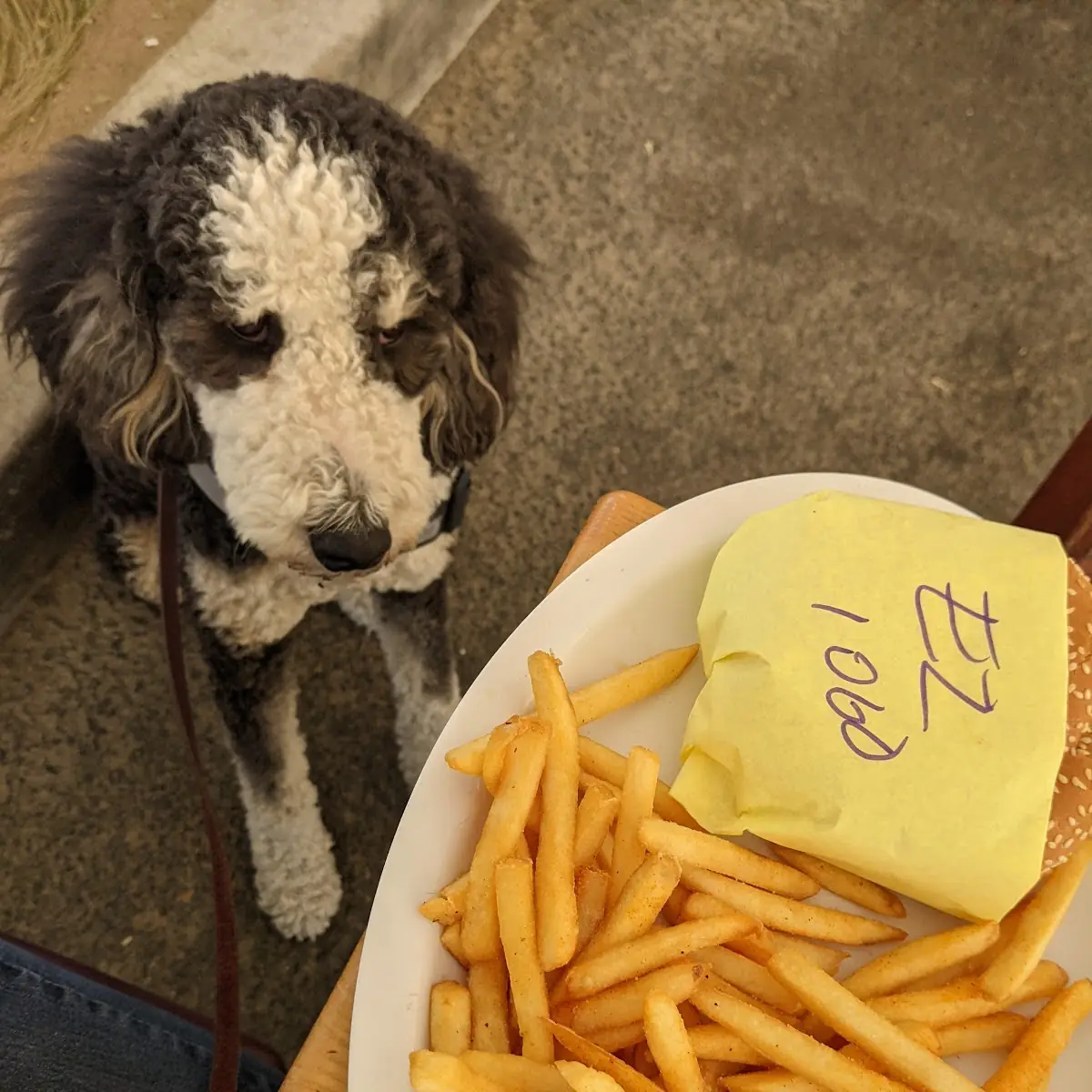 Cheeseburger Combo