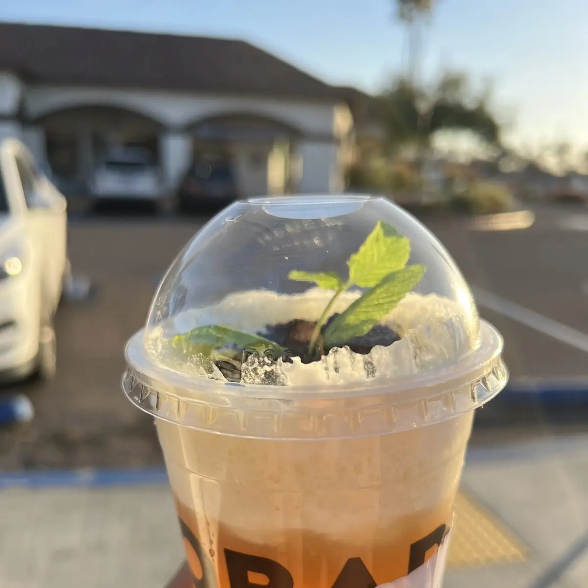 Mai Tai