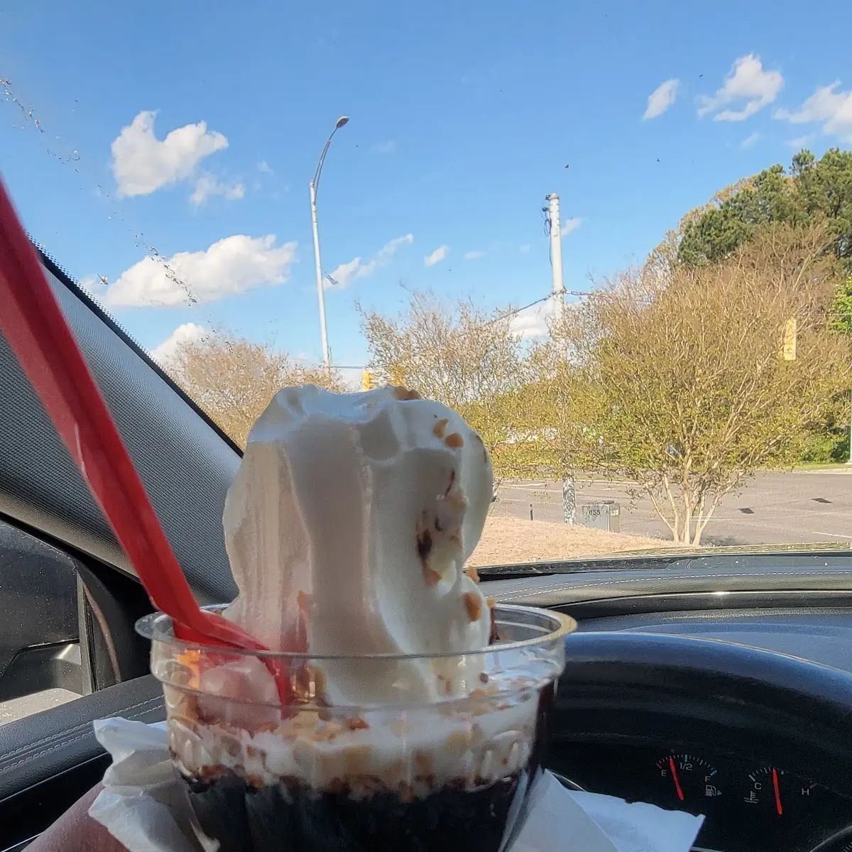Hot Fudge Sundae with Peanuts