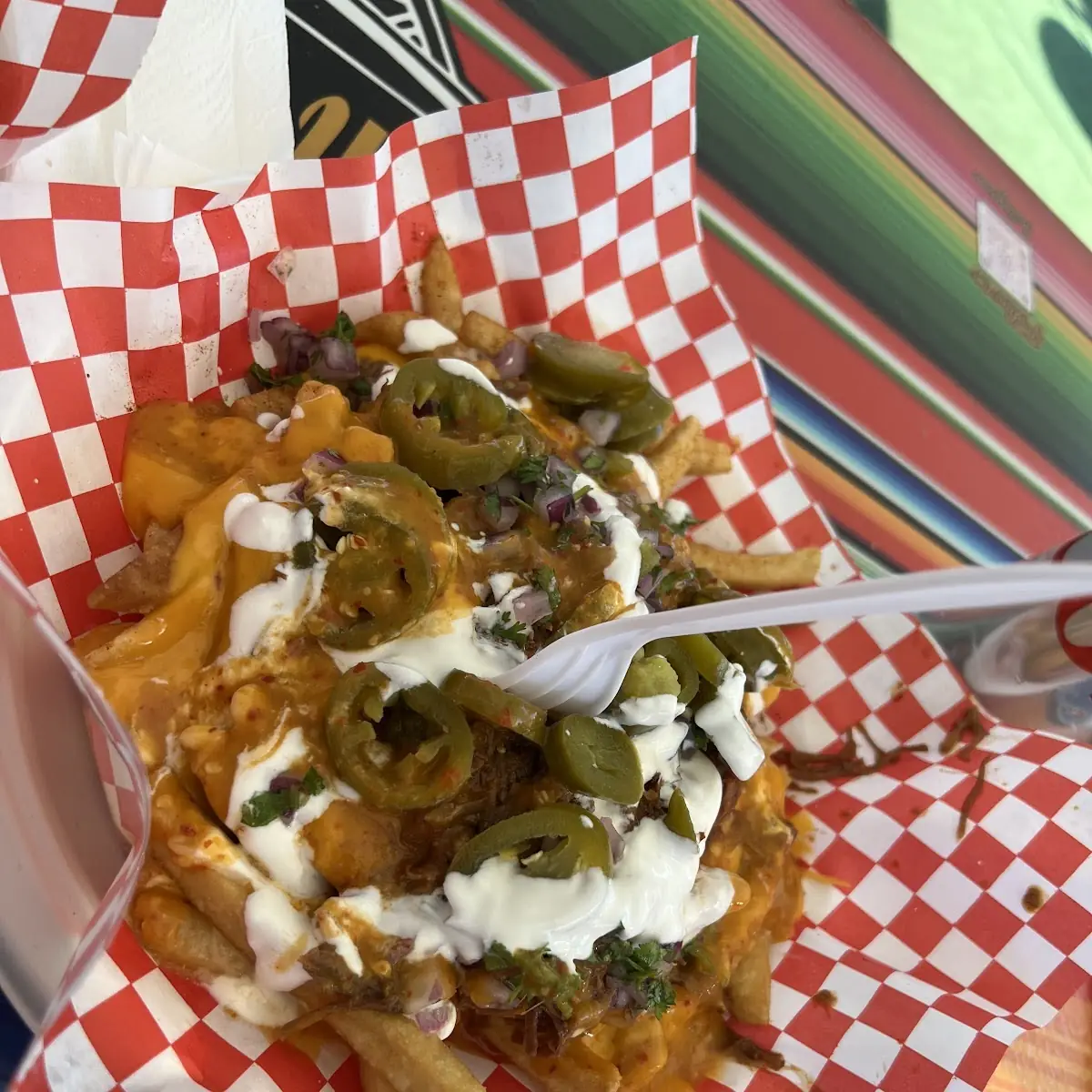 Birria Loaded Fries