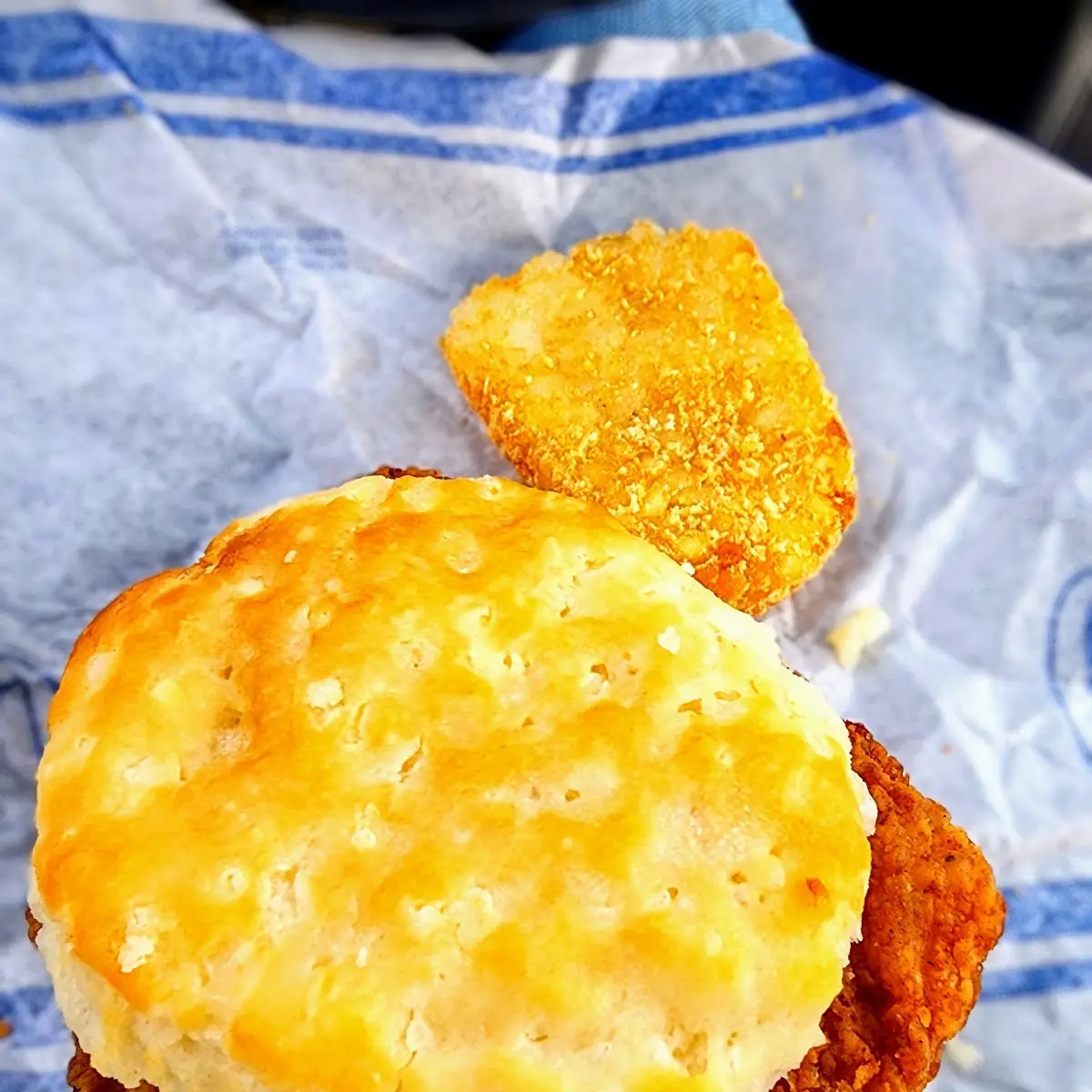 Chicken Biscuit