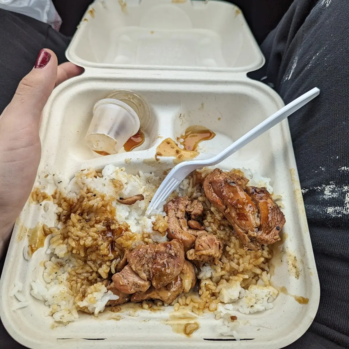 Chicken Teriyaki